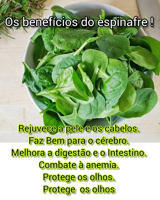 Espinafre: O Superalimento Verde para a Sua Saúde! 🌿💚
